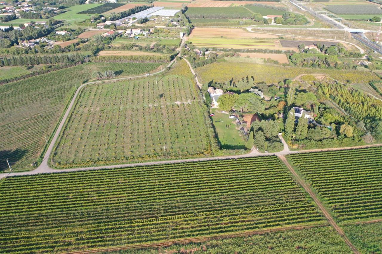 Domaine De La Trinite Montpellier - Aeroport - Plages - Arena - Zenith Saint-Aunes Buitenkant foto